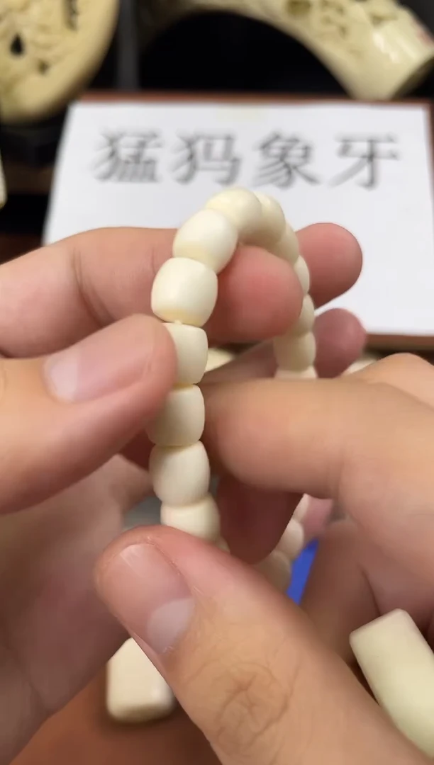 猛犸秋纯肉10*9直切单圈