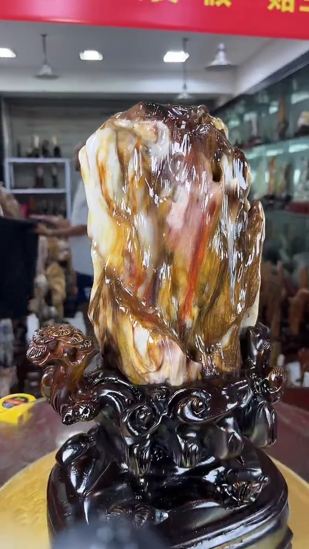硅化玉珠宝奇石未镶嵌缅甸天然树化玉