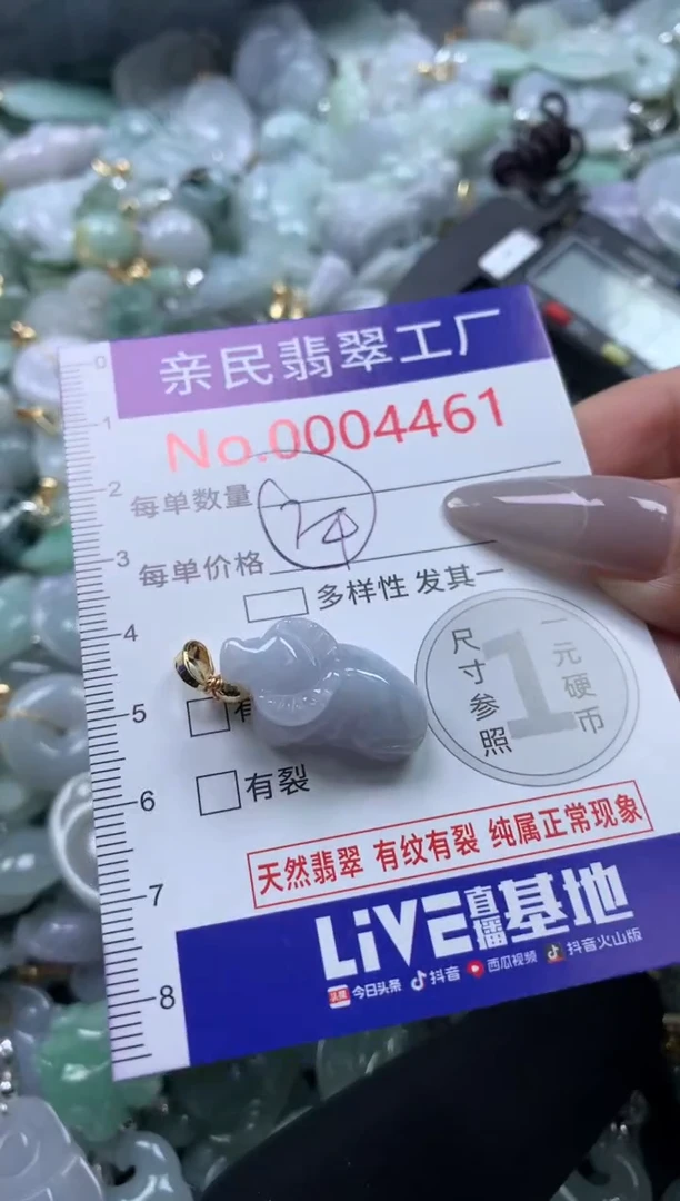 颈饰未镶嵌翡翠4461