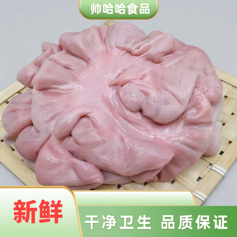 新鲜散养免洗猪花肠精选国产中秋土猪猪肺生盘肠干净品质猪肚新鲜