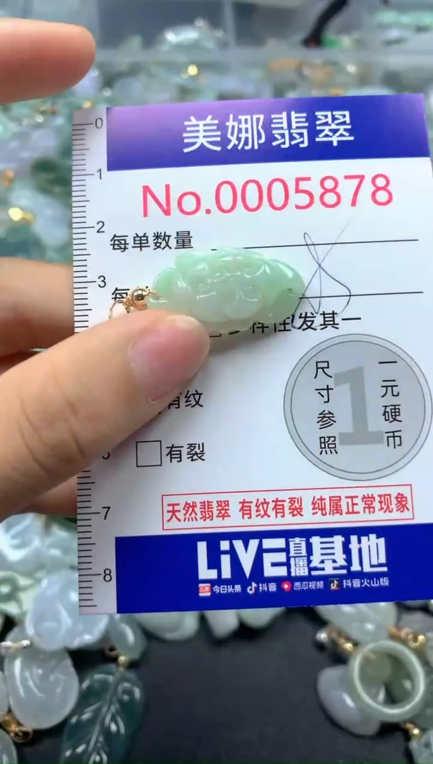 颈饰未镶嵌翡翠5878