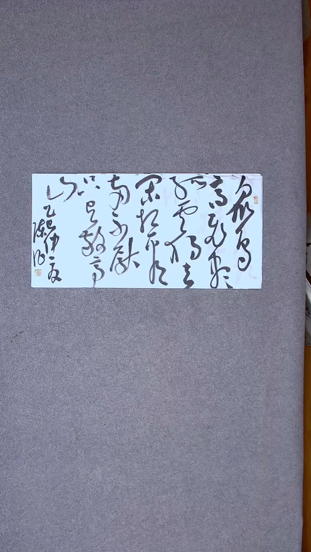 书法陈征 河南南阳 69*34尺寸