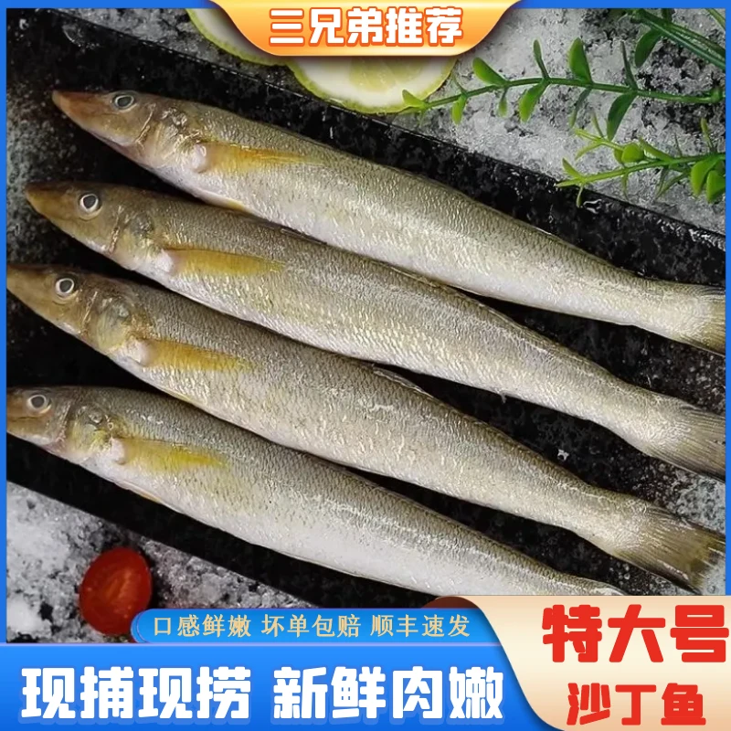 【三兄弟海鲜】沙丁鱼新鲜冷冻海捕船冻深海沙丁鱼少刺8盒2000g