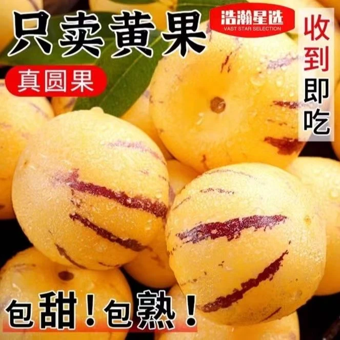 C13云南石林人参果新鲜多汁整箱装单果80g起产地直发