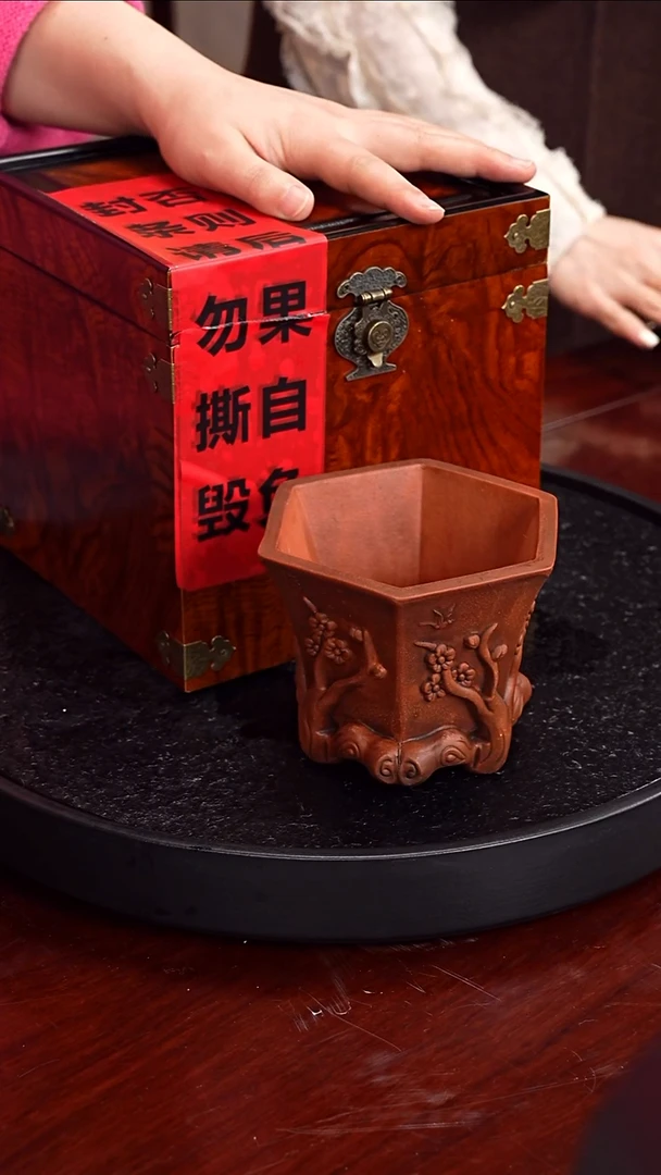 茶壶紫砂张赦棠  柱础111 君子兰 280毫升  配花盆 潘春芳