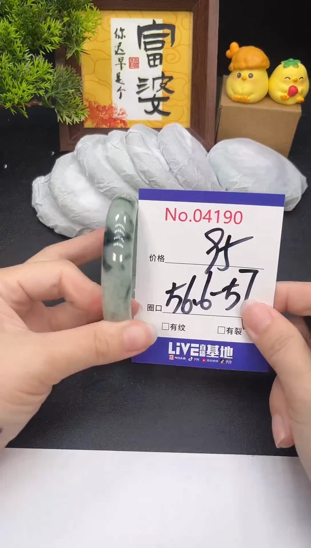未镶嵌手镯翡翠4190