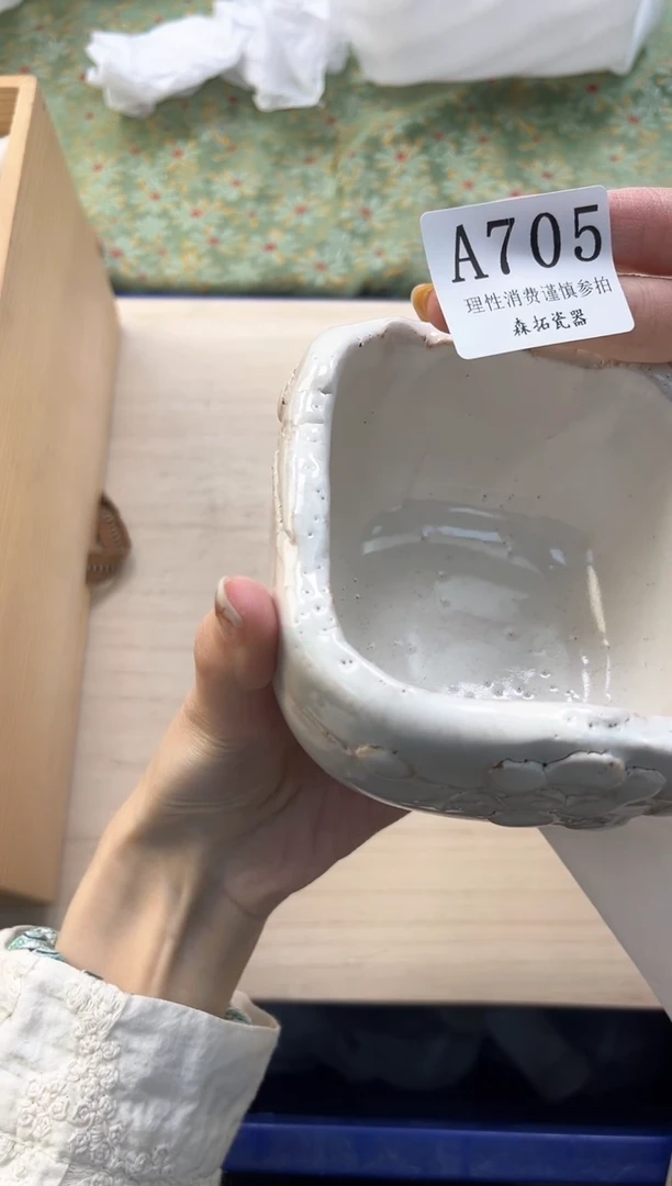 【闪购商品】瓷片 A705