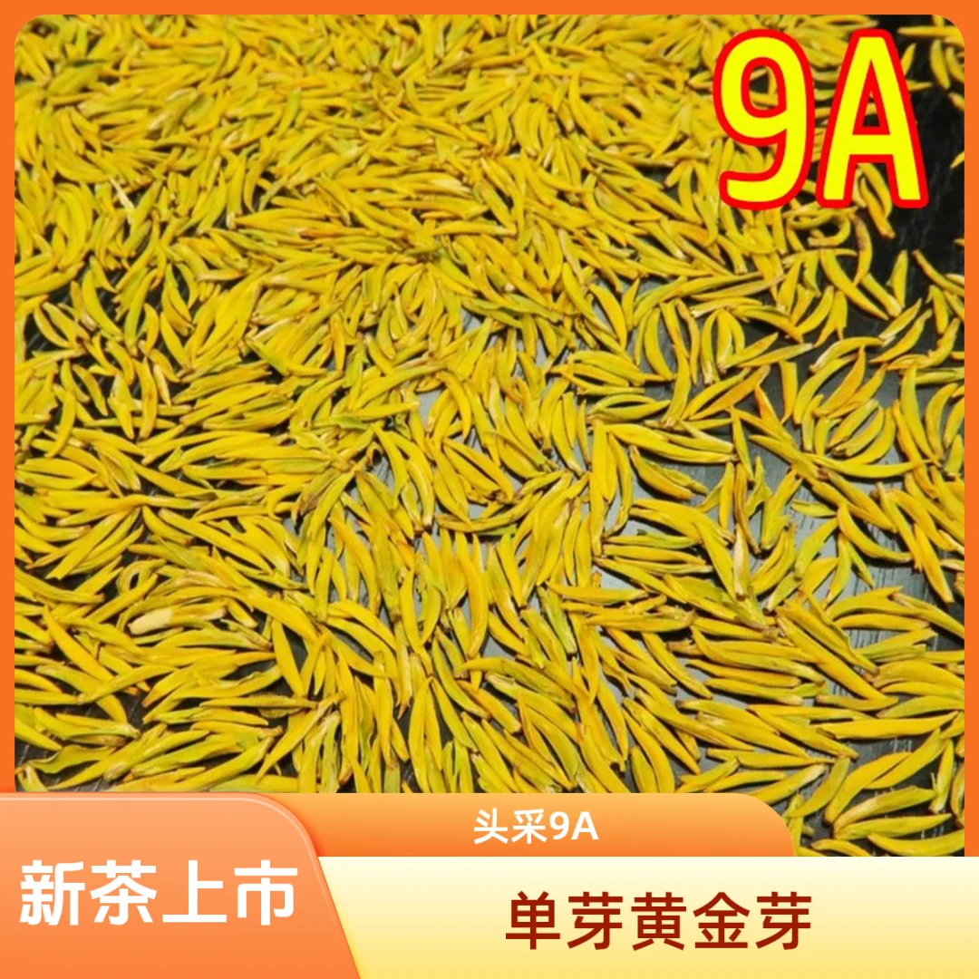 2025新茶单芽黄金芽【头采9A】明前春茶高山花香豆香鲜香爽口回甘