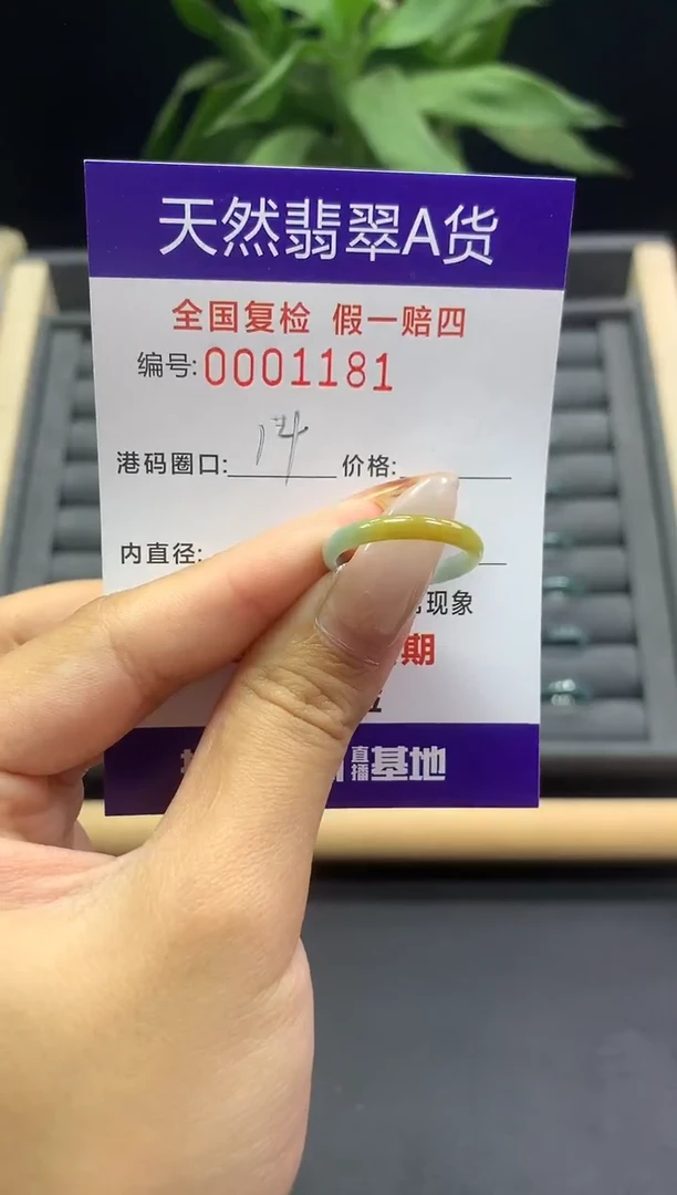 未镶嵌戒指翡翠天然  1181