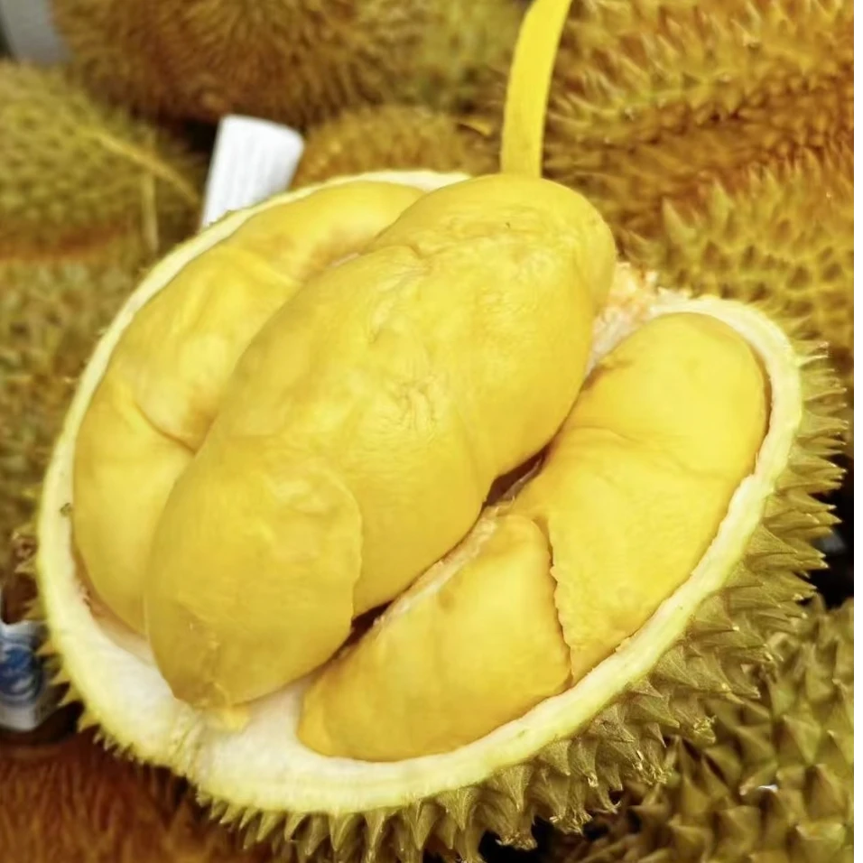 【纯肉福利】福利果 到手1.5斤混装新鲜泰国金枕榴莲 核小 榴莲同城配金枕泰国
