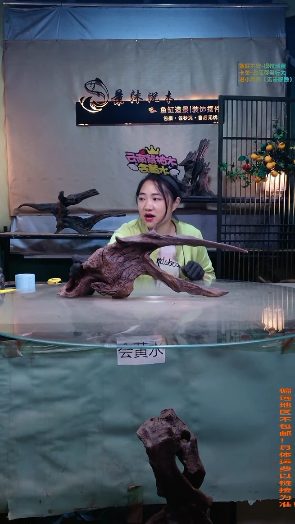 摆件景沐沉木A385 58-12-22