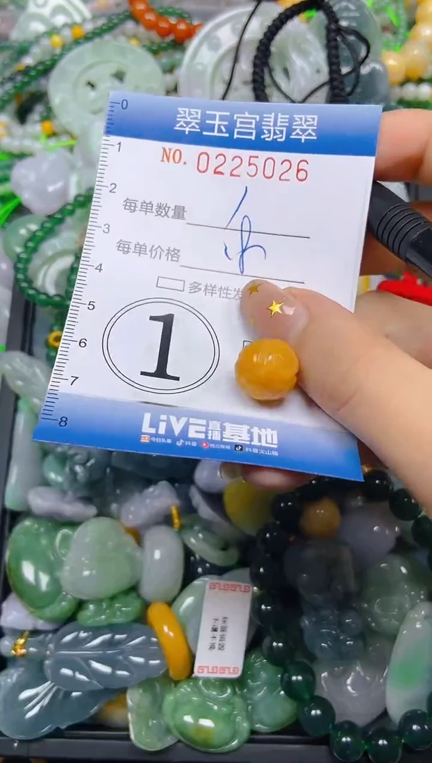 颈饰未镶嵌翡翠闪购C0225026