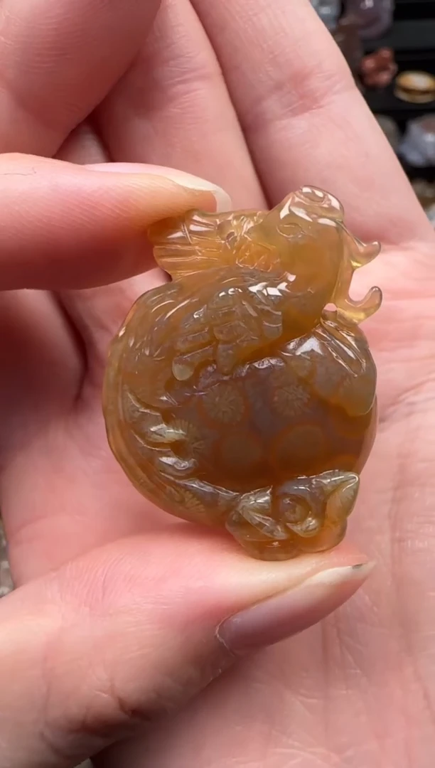 颈饰未镶嵌硅化珊瑚（珊瑚玉）124