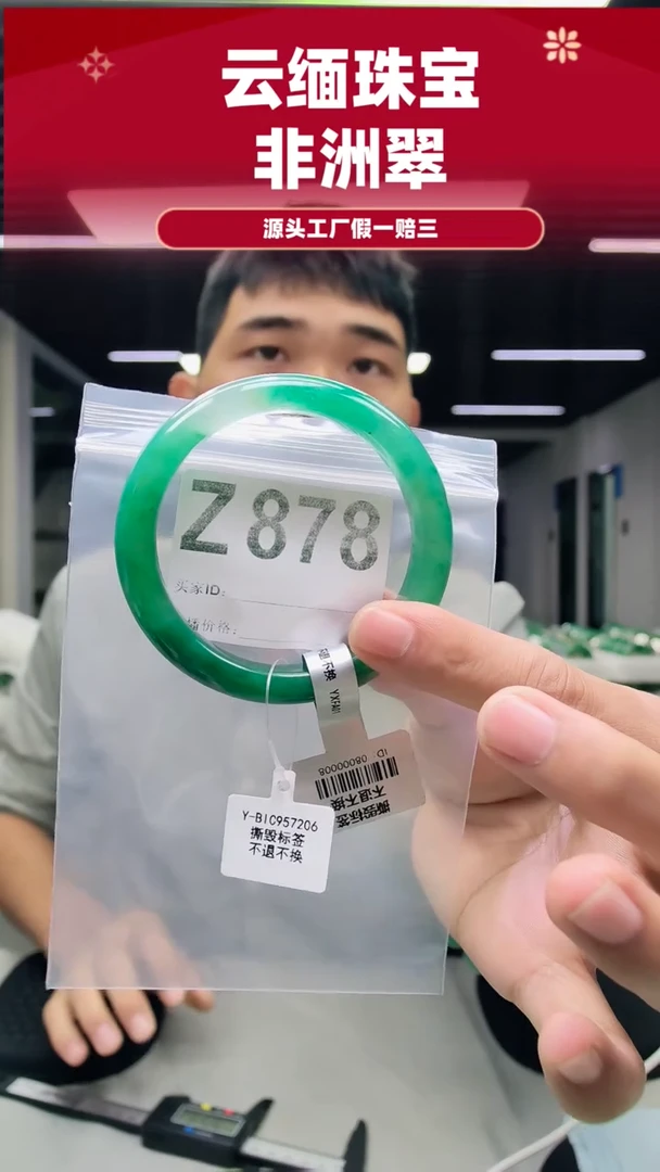 未镶嵌手镯石英质玉（非洲翠）59圈口Z878