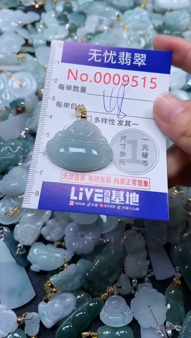 颈饰未镶嵌翡翠9515