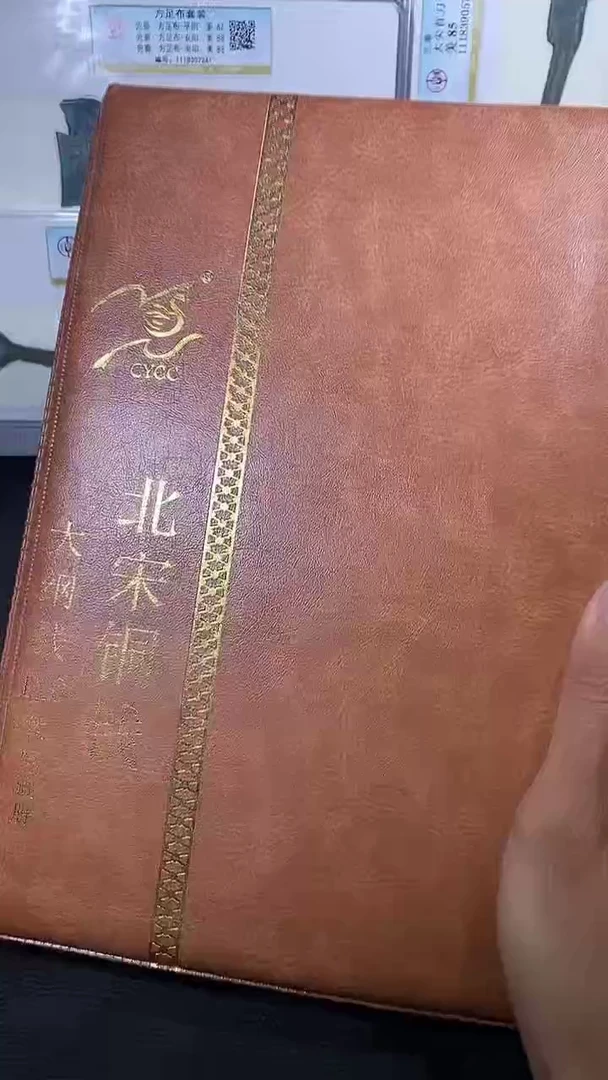 【闪购商品】金琪珍北宋大纲120枚