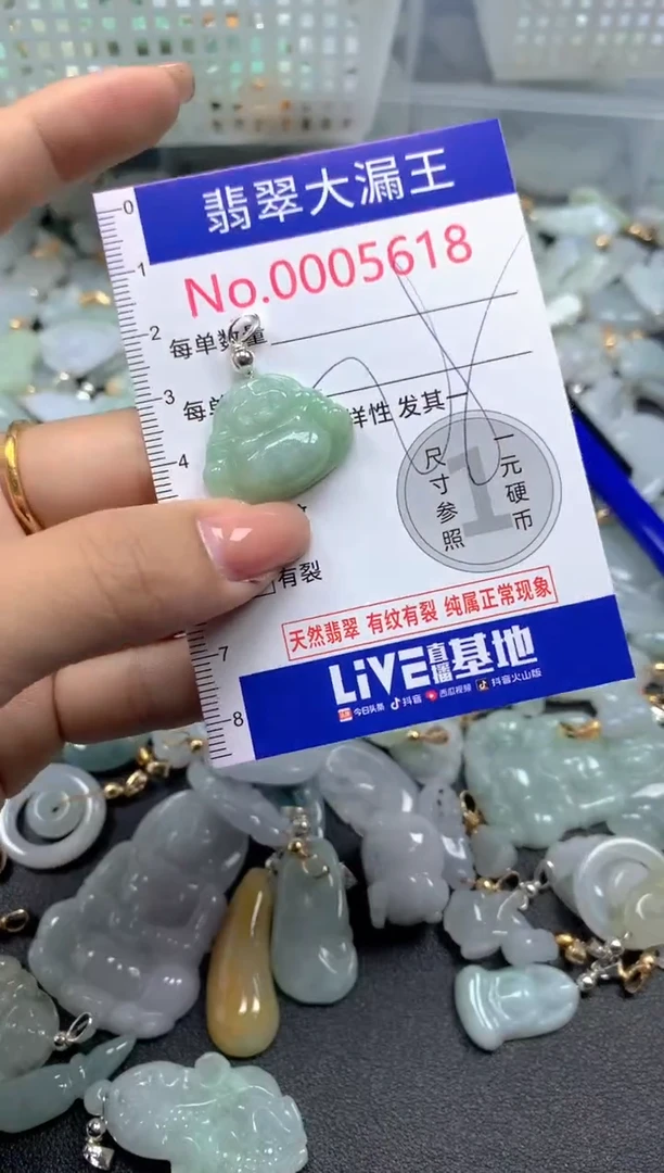 颈饰未镶嵌翡翠5618