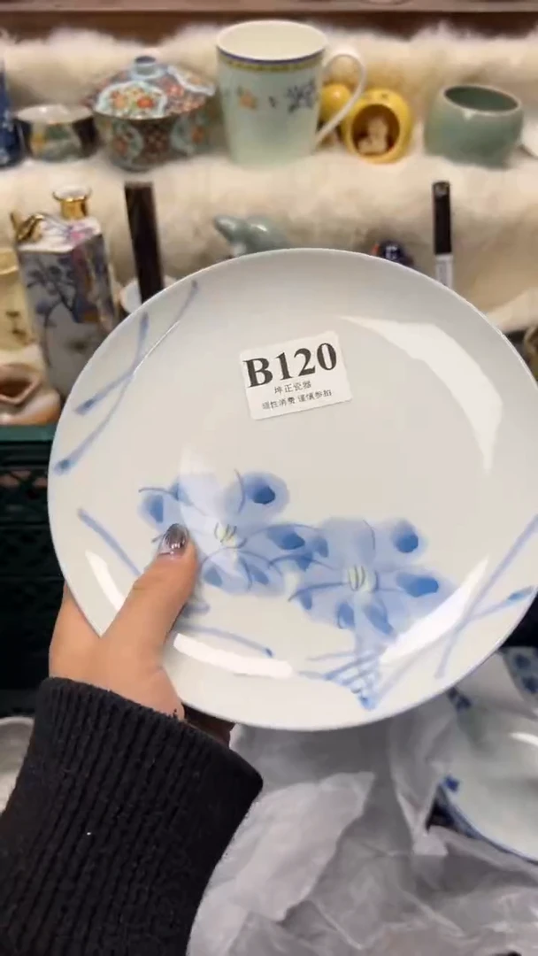 【闪购商品】瓷片          B120