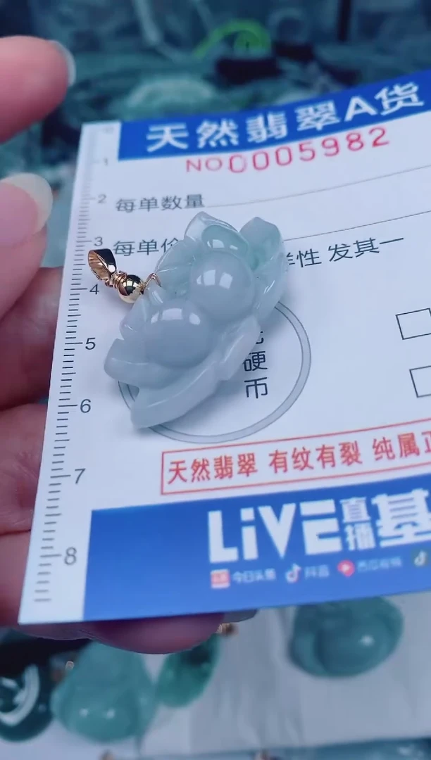 颈饰未镶嵌翡翠00005982