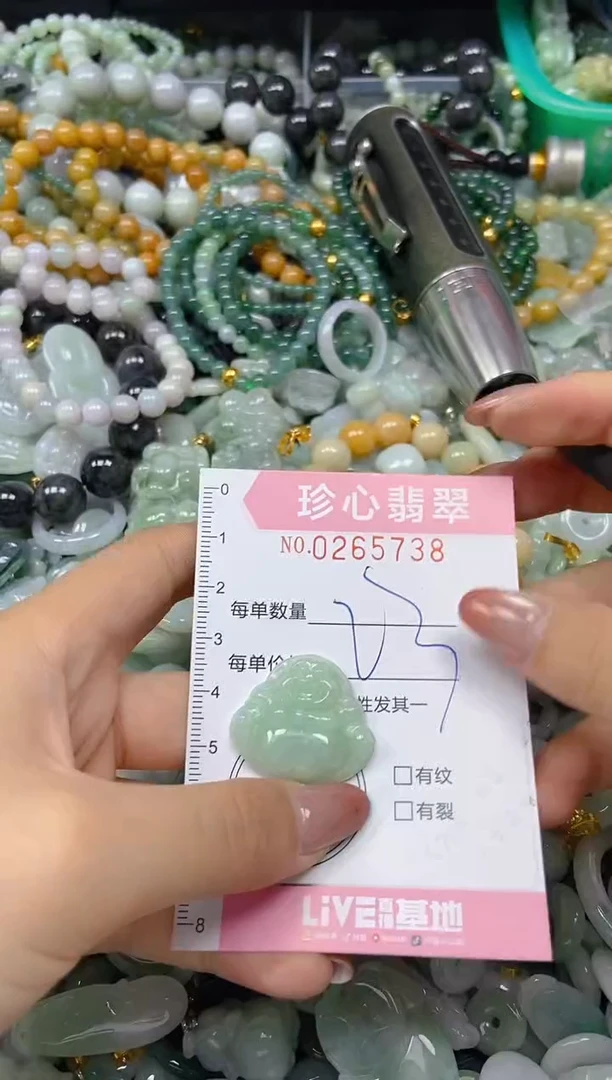 翡翠未镶嵌颈饰闪购0265738