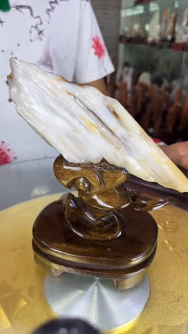硅化玉珠宝奇石未镶嵌缅甸天然树化玉