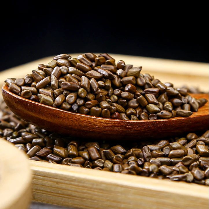 决明子茶250g精选无硫泡水喝拍2发3，拍3发5