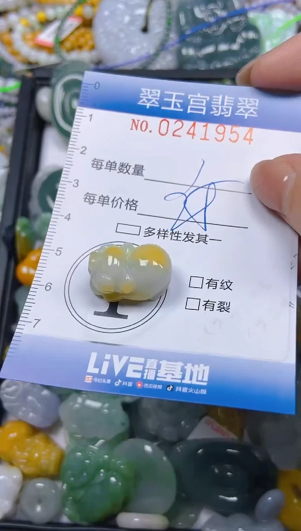 颈饰未镶嵌翡翠闪购C0241954