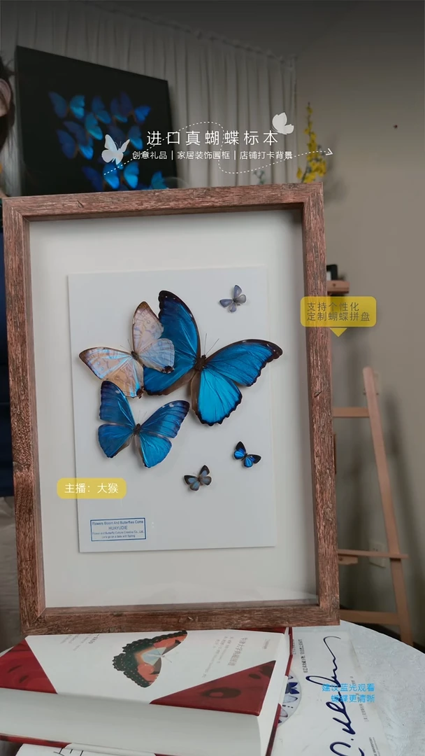 大蓝，夜明珠，安东尼斯拼盘