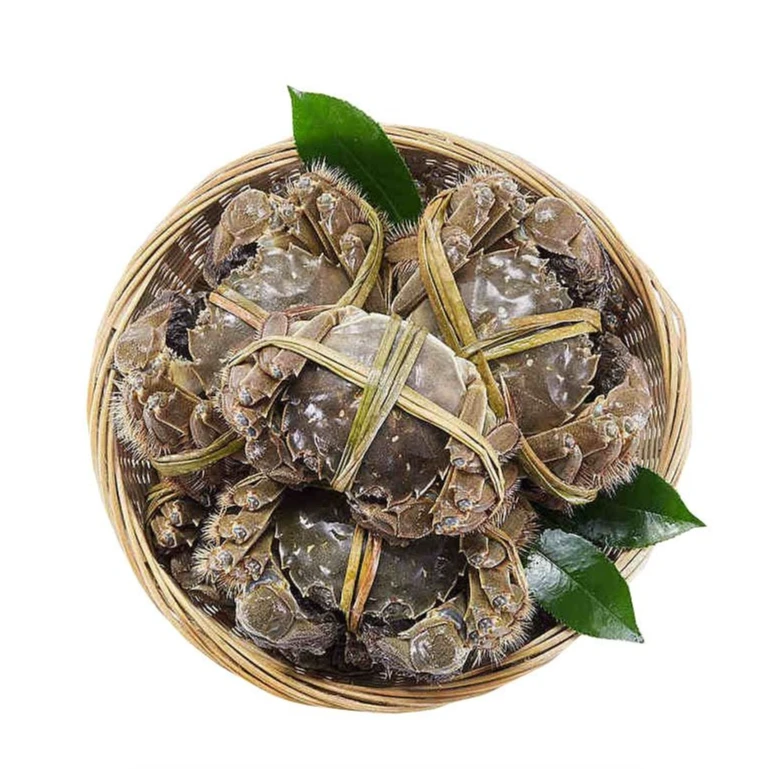 【活蟹】苏州大闸蟹公母蟹 10只 足斤足两