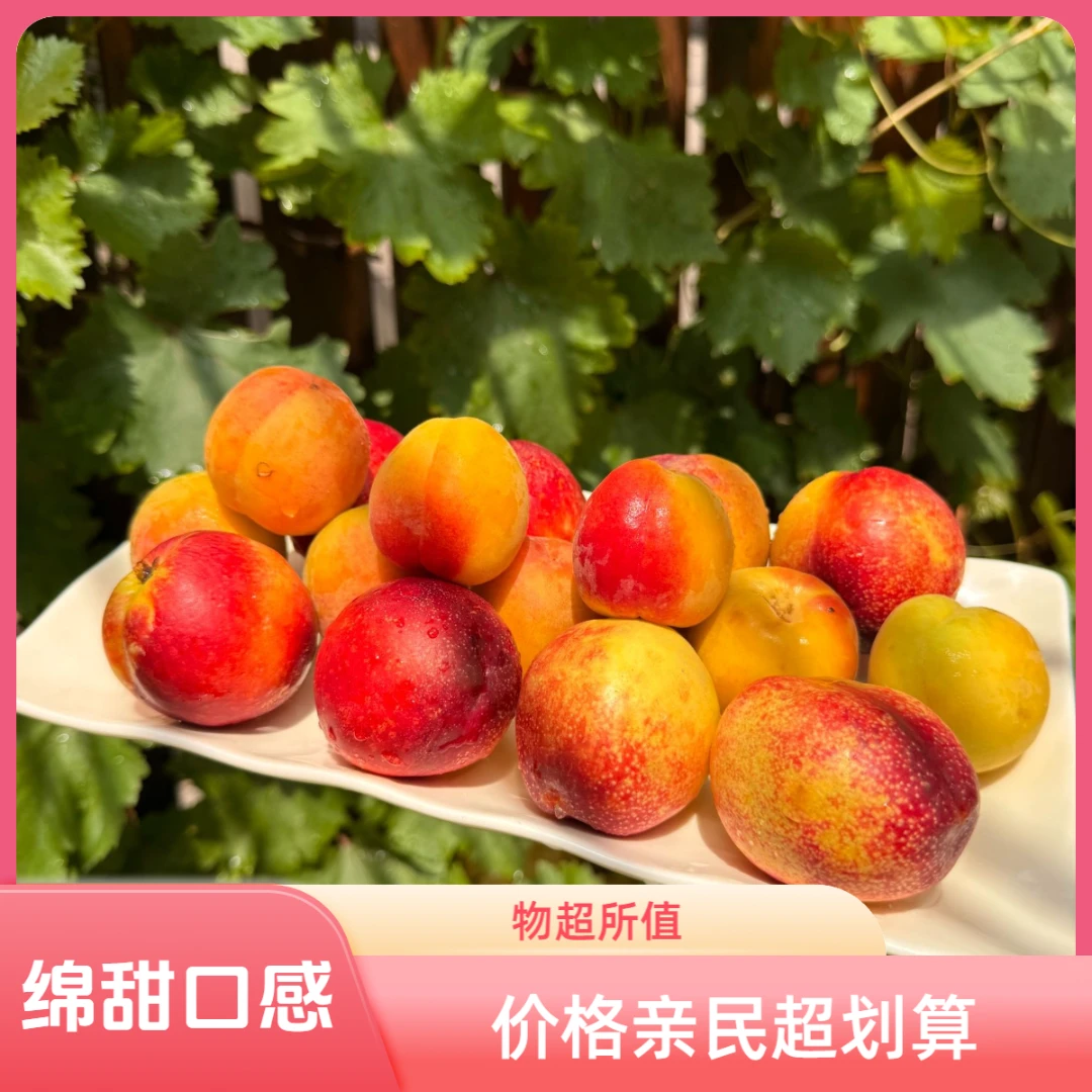 【顺丰京东到家】太谷旱地麻脸油桃 好甜好绵山西省