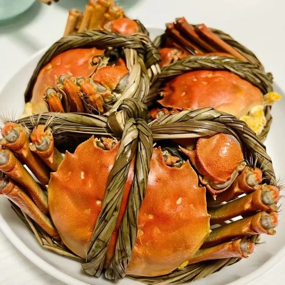 江苏螃蟹母2-2.3两鲜活河蟹包邮买10只送2只