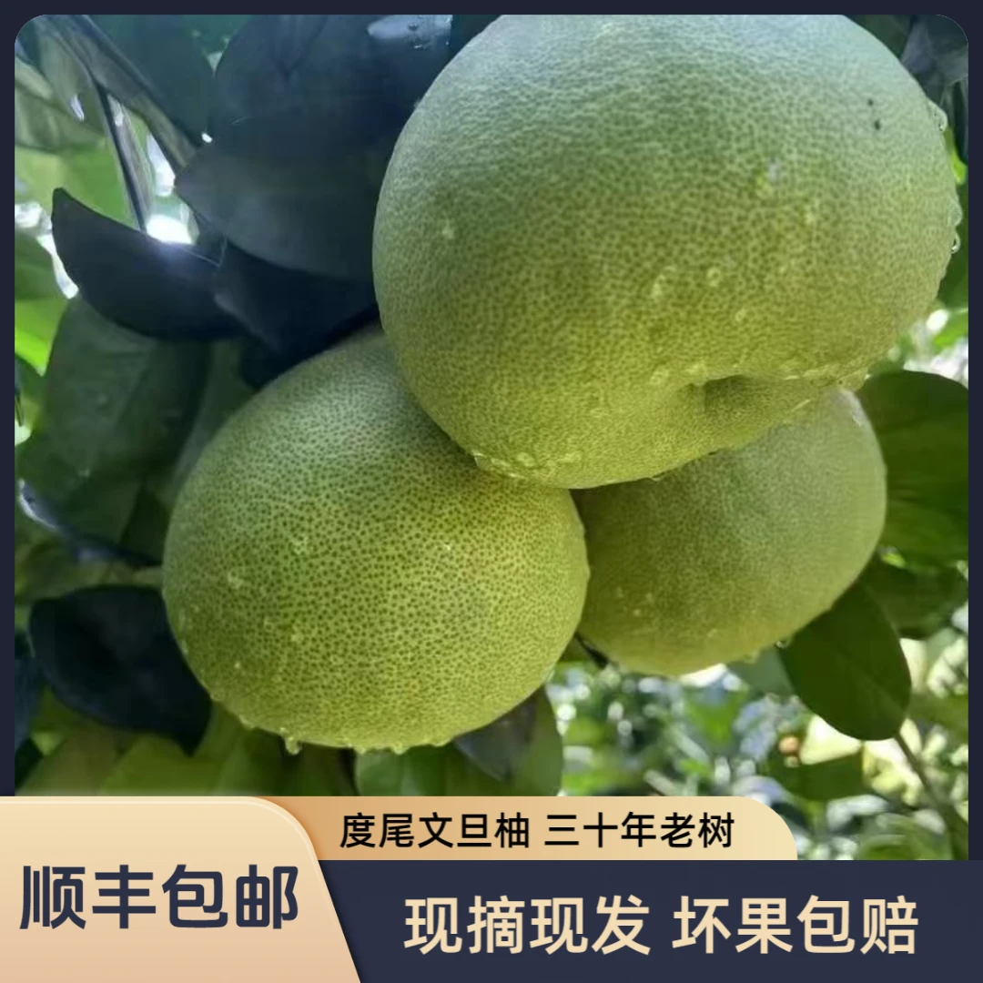 福建仙游度尾红心文旦柚酸甜多汁新鲜应季水果2个尝鲜