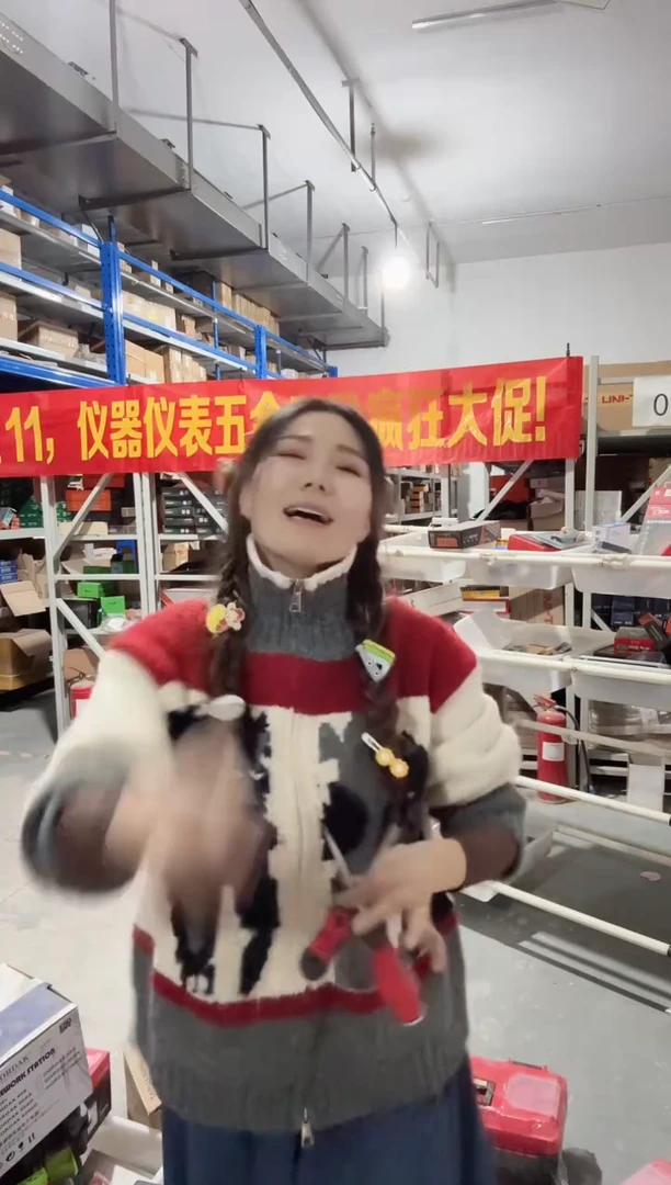 SD08C008（十）6*100SD08C019（一）6*100旋转螺丝刀各一个