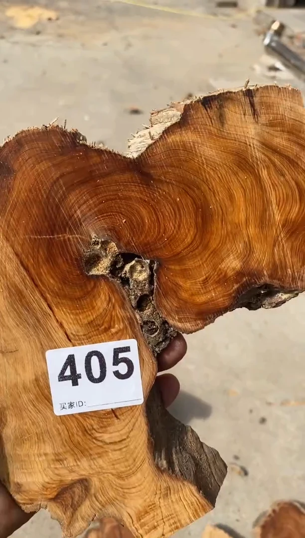 柏木（崖柏）太行陈化崖柏切片一片