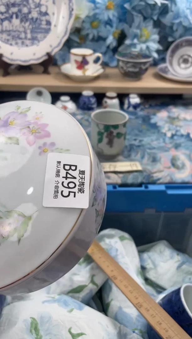 瓷片?**?B495默认微瑕 闪购默认库存一件