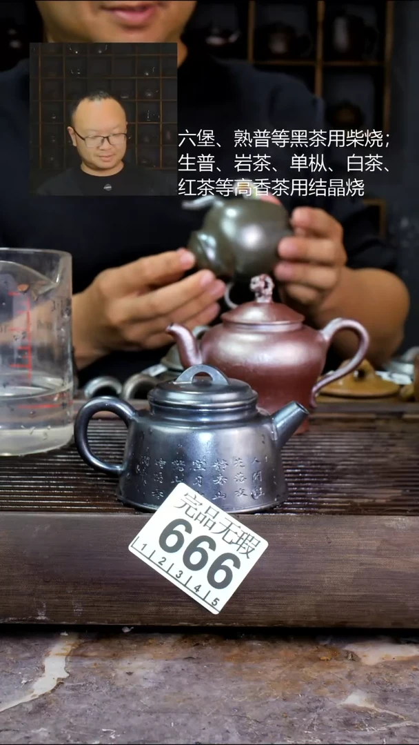 壶四大名陶钦州坭兴陶666