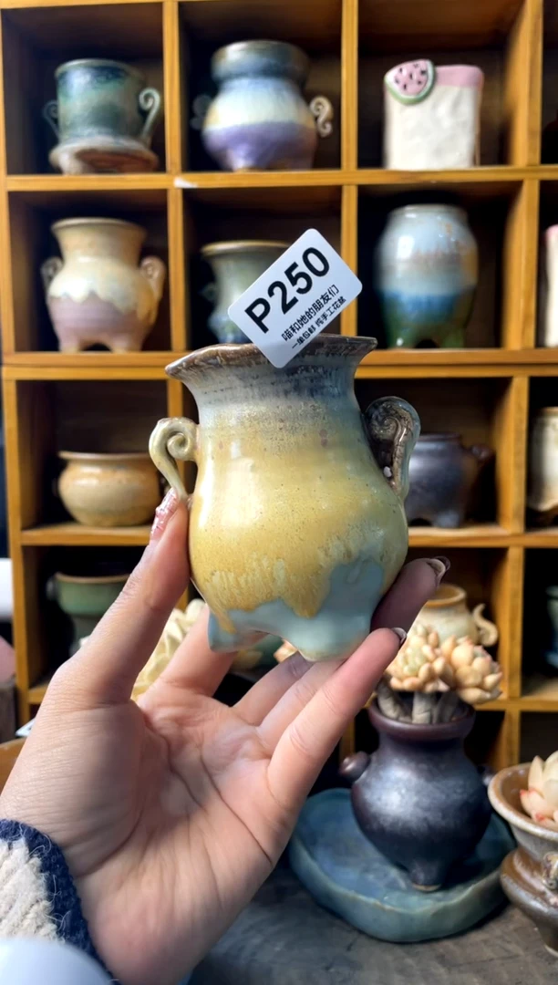 250内口5【多肉花盆多肉盆】