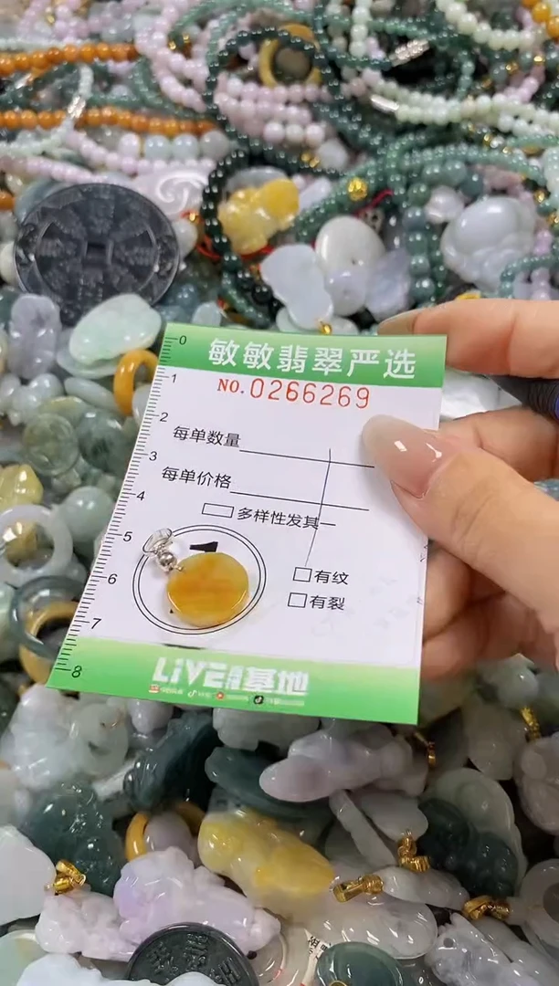 翡翠未镶嵌颈饰闪购0266269
