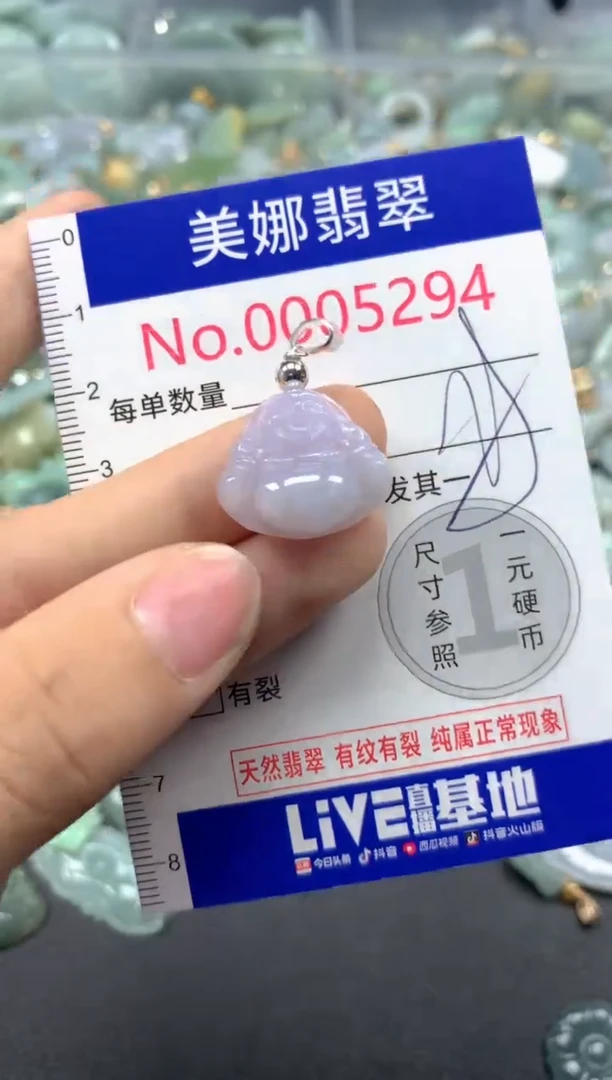 颈饰未镶嵌翡翠5294