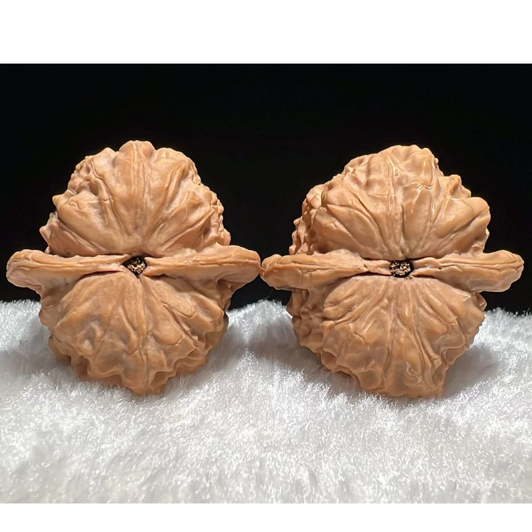 野生原树 二月红 38 甲 琅琊甄选 文玩核桃