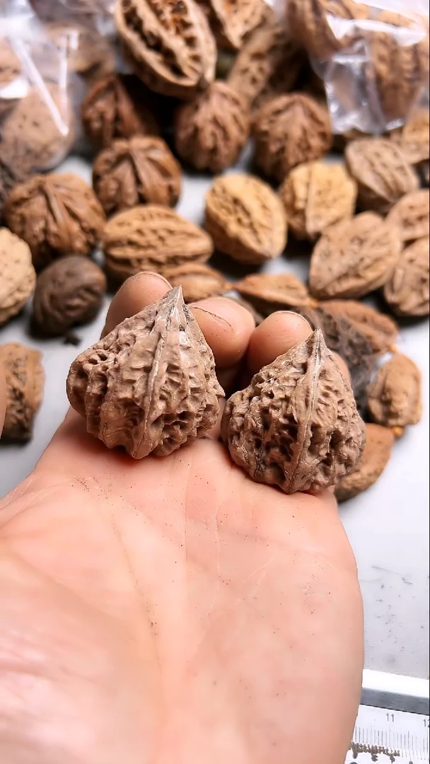 核桃东北野生大秋子5