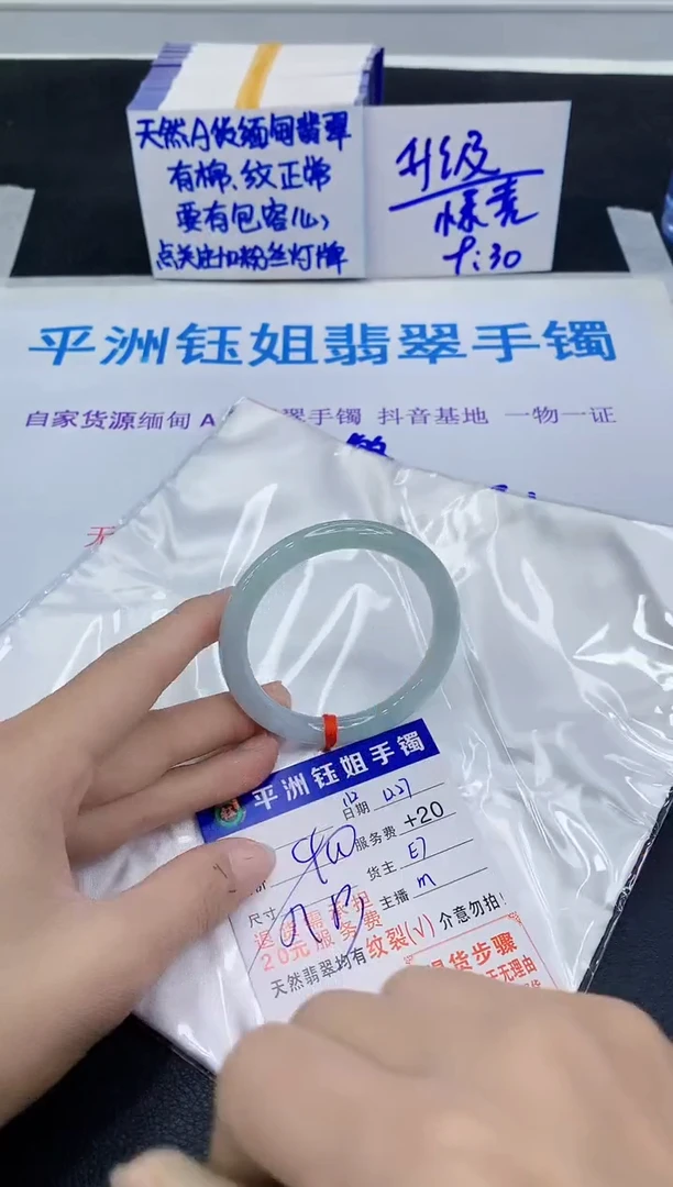 未镶嵌手镯翡翠11111