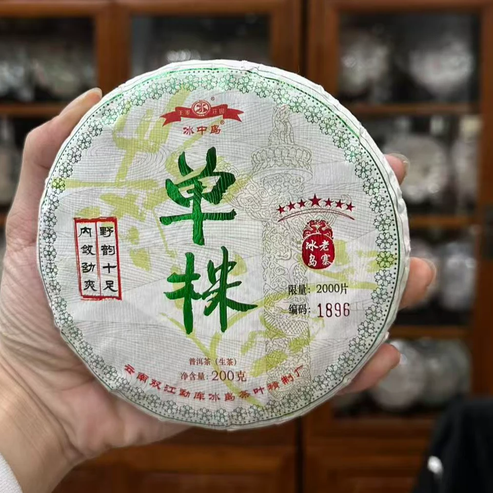 2023年 冰中岛 冰岛老寨单株 普洱生茶