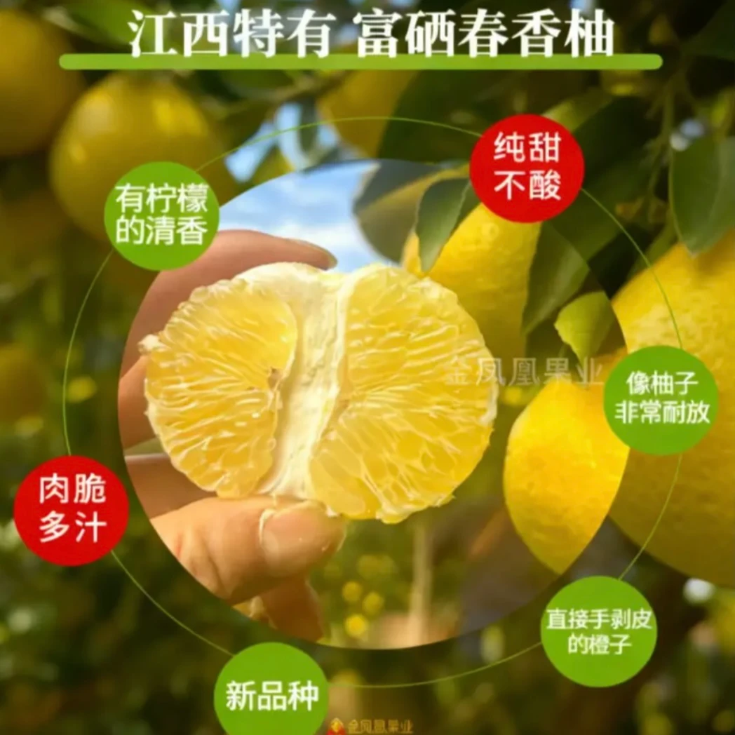 正宗春香柚精选黄金贡柚象山青甜蜜香甜多汁新鲜水果清甜