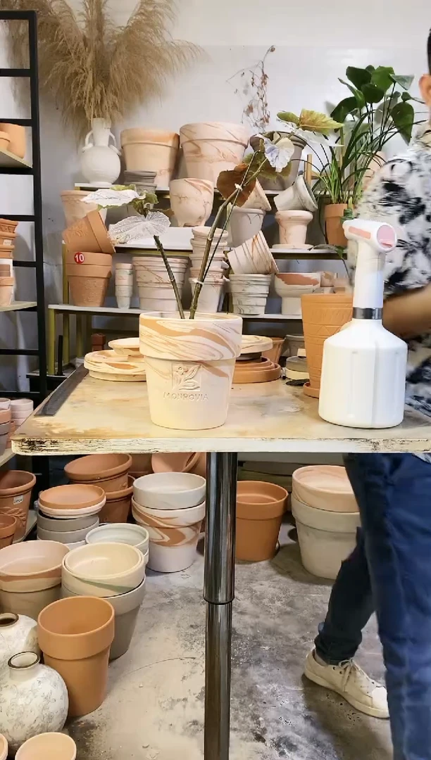 14.5*16玛奇朵反比例 1盆无托