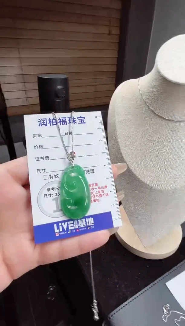 吊坠(赠链)银S925镶嵌石英质玉（非洲翠）3.71如意