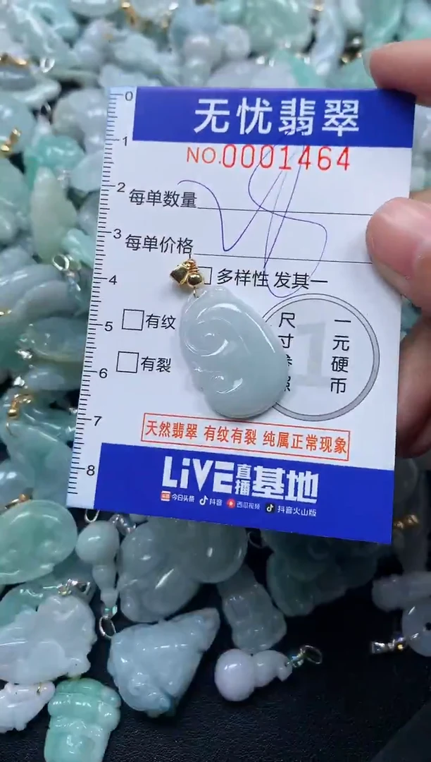 颈饰未镶嵌翡翠1494