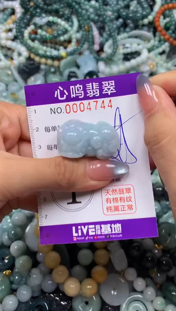 颈饰未镶嵌翡翠闪购004744