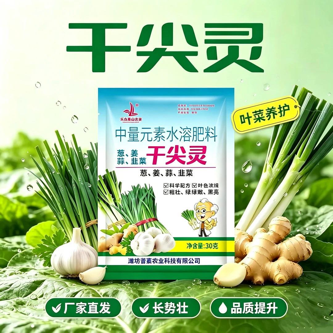 【韭葱姜蒜干尖灵】大蒜大蒜生姜韭菜蔬菜促生长水溶肥商品图
