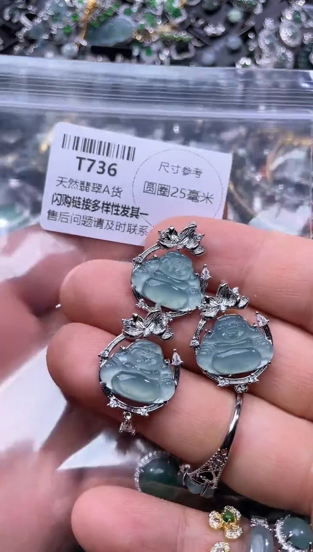 【闪购商品】翡翠颈饰未镶嵌T736多样性发其一